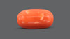 Italian Red Coral 13.48 Carats / 14.81 Ratti