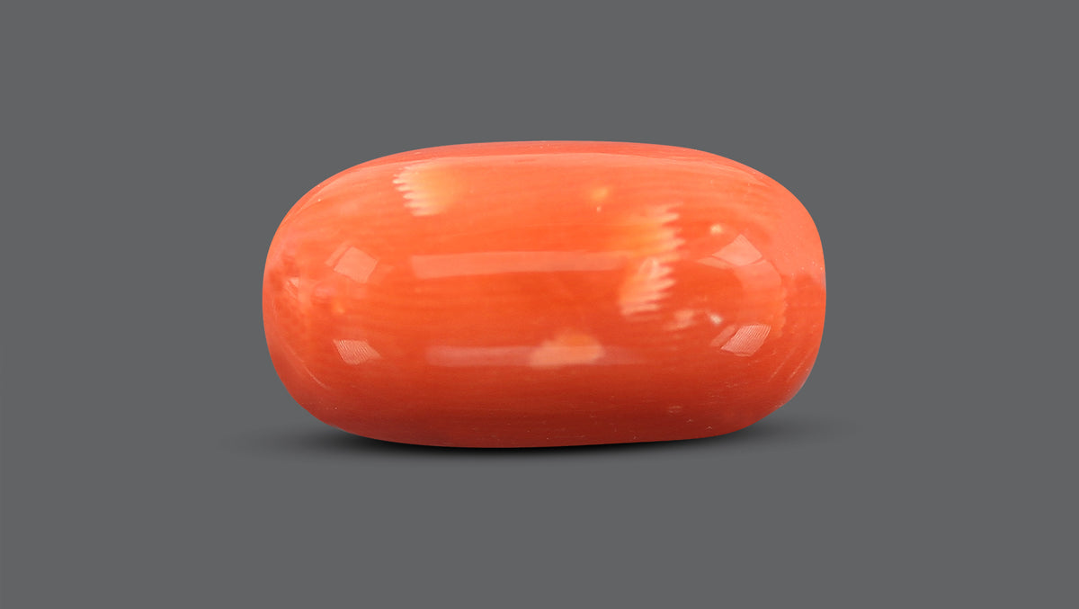 Italian Red Coral 13.48 Carats / 14.81 Ratti