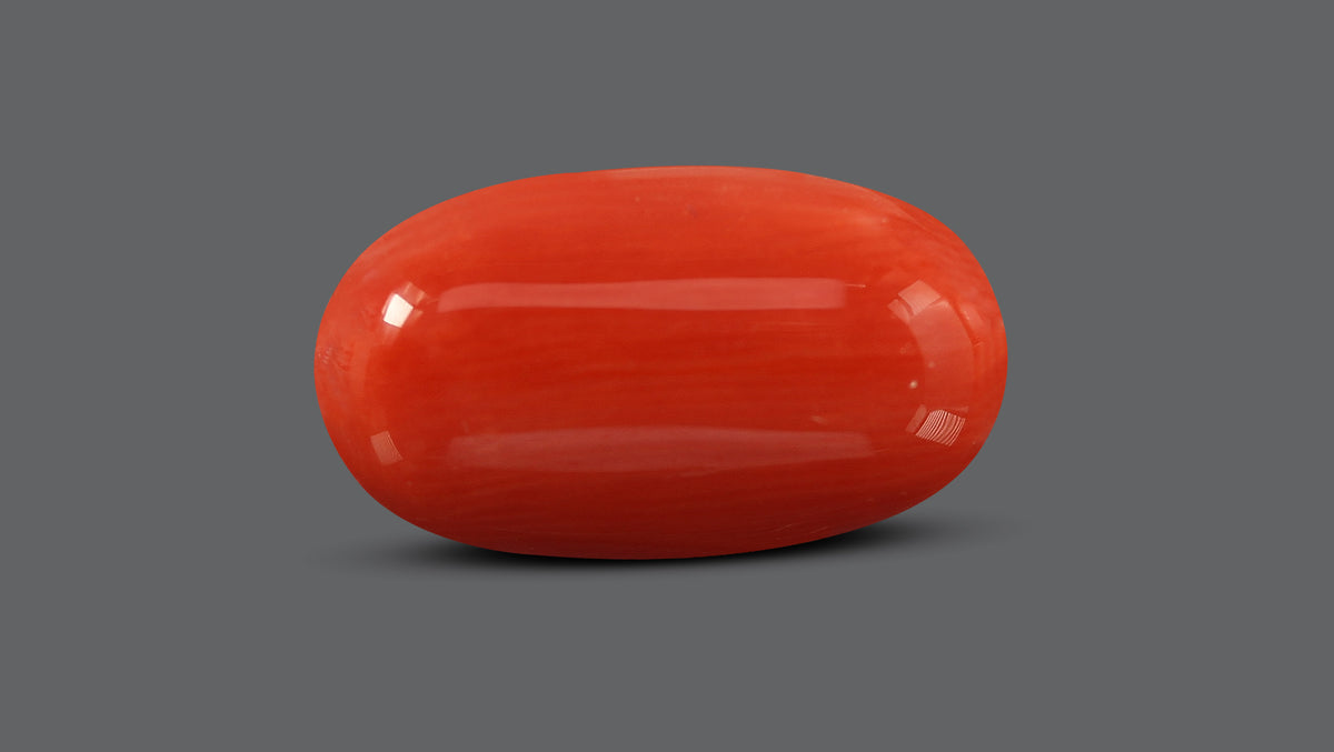 Italian Red Coral 7.53 Carats / 8.27 Ratti