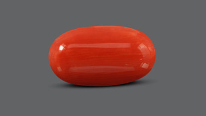 Italian Red Coral 7.53 Carats / 8.27 Ratti