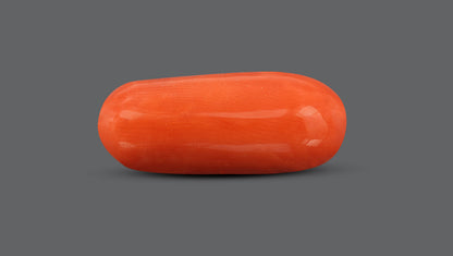 Italian Red Coral 10.31 Carats / 11.33 Ratti