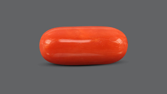 Italian Red Coral 9.79 Carats / 10.76 Ratti