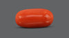 Italian Red Coral 9.83 Carats / 10.8 Ratti