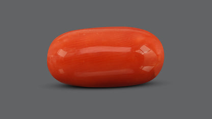 Italian Red Coral 9.83 Carats / 10.8 Ratti
