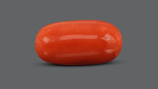 Italian Red Coral 9.83 Carats / 10.8 Ratti