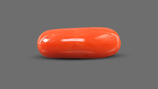 Italian Red Coral 9.44 Carats / 10.37 Ratti