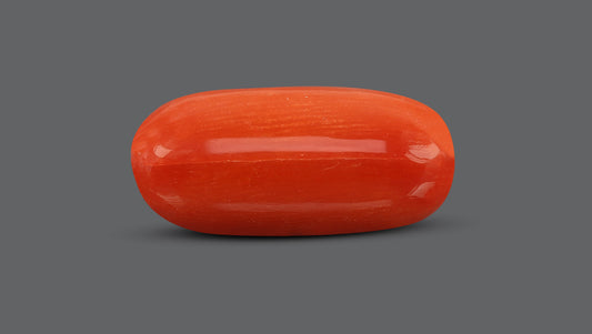 Italian Red Coral 10.51 Carats / 11.55 Ratti