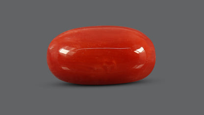Italian Red Coral 7.63 Carats / 8.38 Ratti