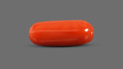 Italian Red Coral 8.92 Carats / 9.8 Ratti