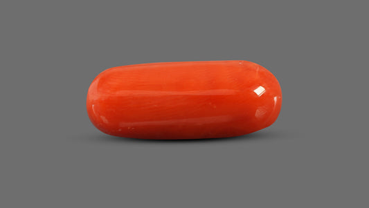 Italian Red Coral 8.92 Carats / 9.8 Ratti