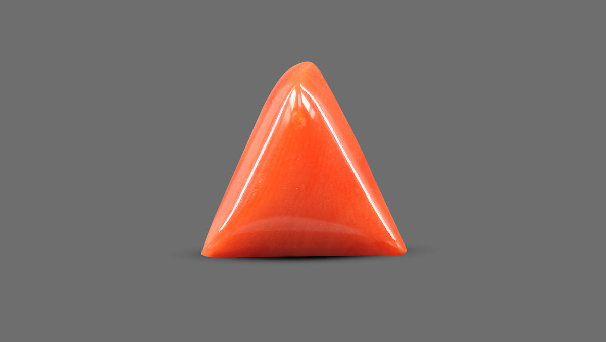 Italian Red Coral 5.85 Carats / 6.43 Ratti