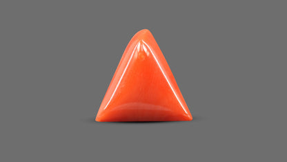 Italian Red Coral 5.85 Carats / 6.43 Ratti