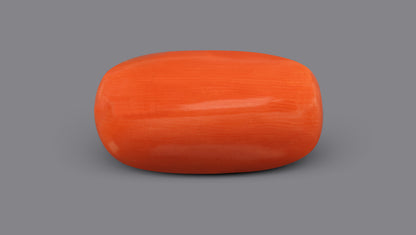 Italian Red Coral 8.07 Carats / 8.87 Ratti