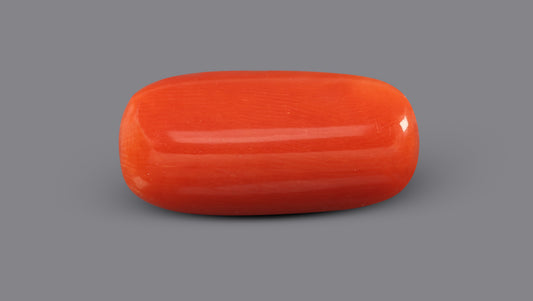 Italian Red Coral 6.18 Carats / 6.79 Ratti