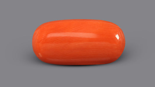 Italian Red Coral 6.45 Carats / 7.09 Ratti