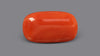 Italian Red Coral 8.27 Carats / 9.09 Ratti
