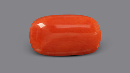 Italian Red Coral 8.27 Carats / 9.09 Ratti