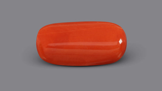Italian Red Coral 6.02 Carats / 6.62 Ratti