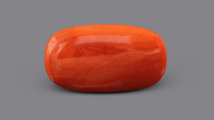 Italian Red Coral 7.49 Carats / 8.23 Ratti