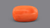 Italian Red Coral 5.93 Carats / 6.52 Ratti