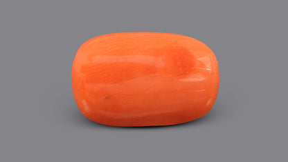Italian Red Coral 5.93 Carats / 6.52 Ratti