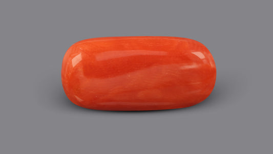 Italian Red Coral 11.02 Carats / 12.11 Ratti