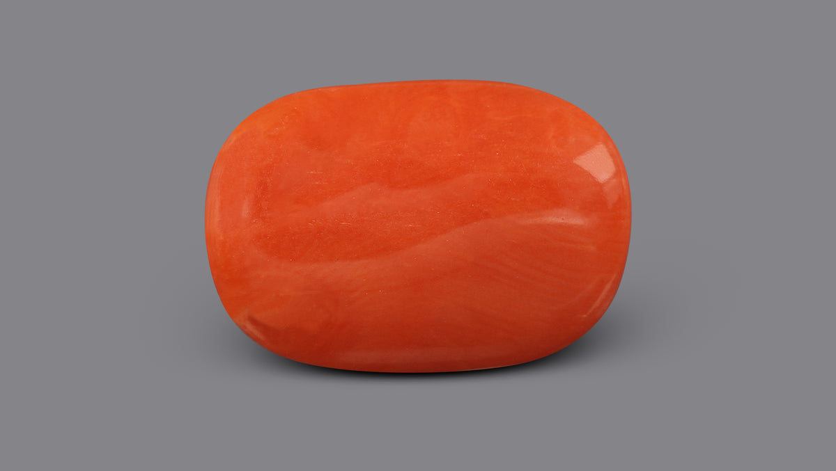 Italian Red Coral 5.87 Carats / 6.45 Ratti