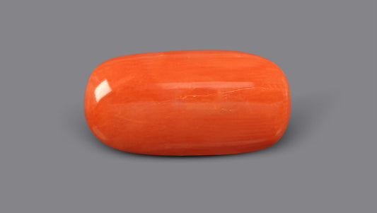 Italian Red Coral 6.01 Carats / 6.6 Ratti
