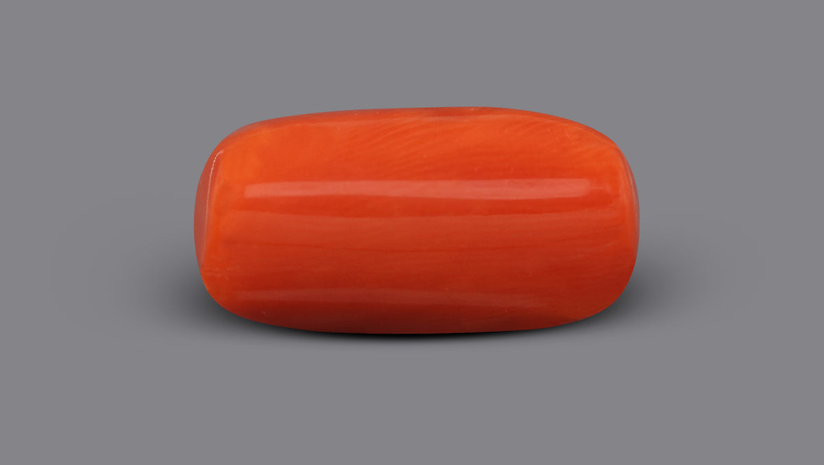 Italian Red Coral 7.74 Carats / 8.51 Ratti