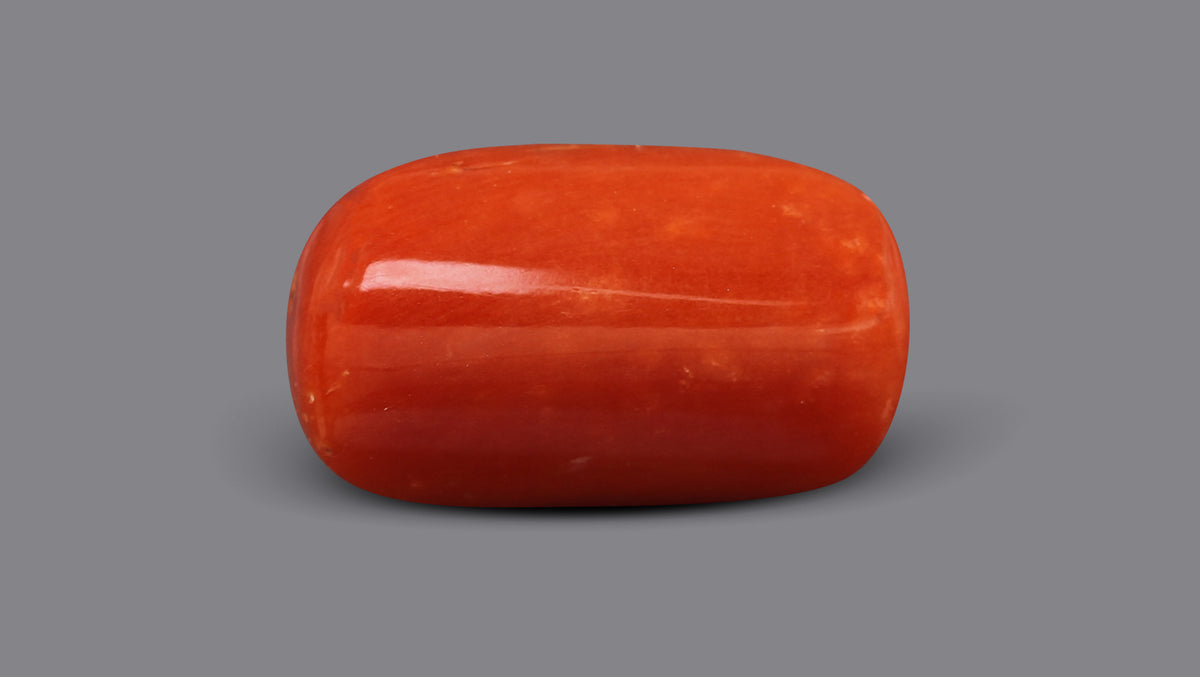 Italian Red Coral 6.80 Carats / 7.47 Ratti