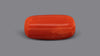 Italian Red Coral 7.36 Carats / 8.09 Ratti