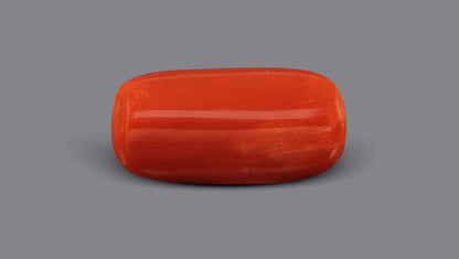 Italian Red Coral 7.36 Carats / 8.09 Ratti