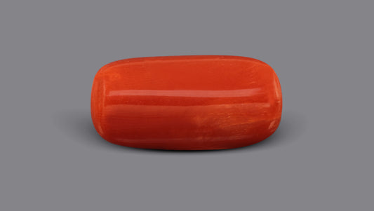 Italian Red Coral 7.36 Carats / 8.09 Ratti