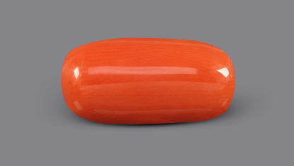 Italian Red Coral 5.03 Carats / 5.53 Ratti