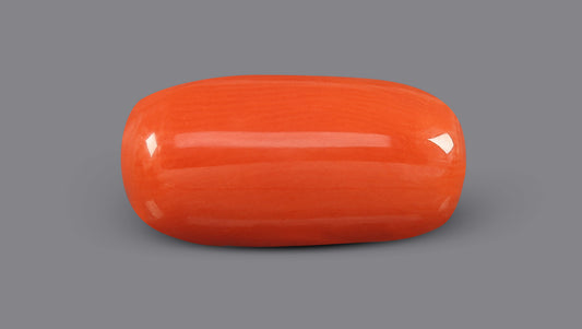 Italian Red Coral 5.03 Carats / 5.53 Ratti