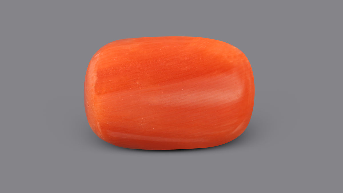 Italian Red Coral 10.04 Carats / 11.03 Ratti