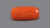 Italian Red Coral 5.60 Carats / 6.15 Ratti