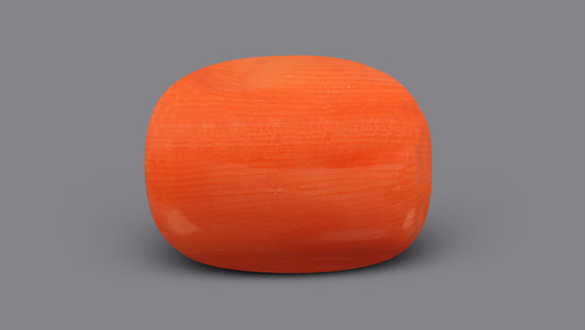 Italian Red Coral 6.15 Carats / 6.76 Ratti