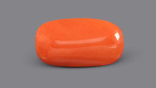 Italian Red Coral 4.42 Carats / 4.86 Ratti