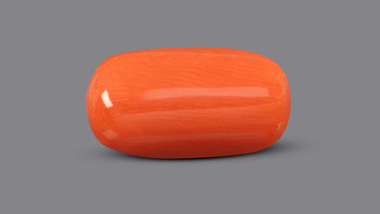 Italian Red Coral 6.01 Carats / 6.6 Ratti