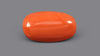 Italian Red Coral 11.61 Carats / 12.76 Ratti