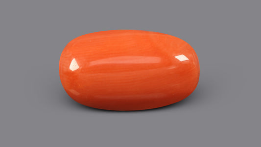 Italian Red Coral 11.61 Carats / 12.76 Ratti