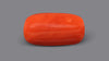 Italian Red Coral 10.20 Carats / 11.21 Ratti