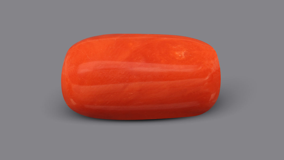 Italian Red Coral 10.20 Carats / 11.21 Ratti