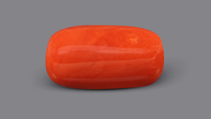 Italian Red Coral 10.20 Carats / 11.21 Ratti