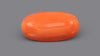 Italian Red Coral 11.67 Carats / 12.82 Ratti