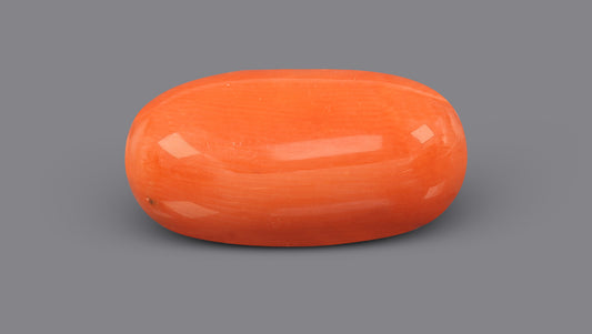 Italian Red Coral 11.67 Carats / 12.82 Ratti