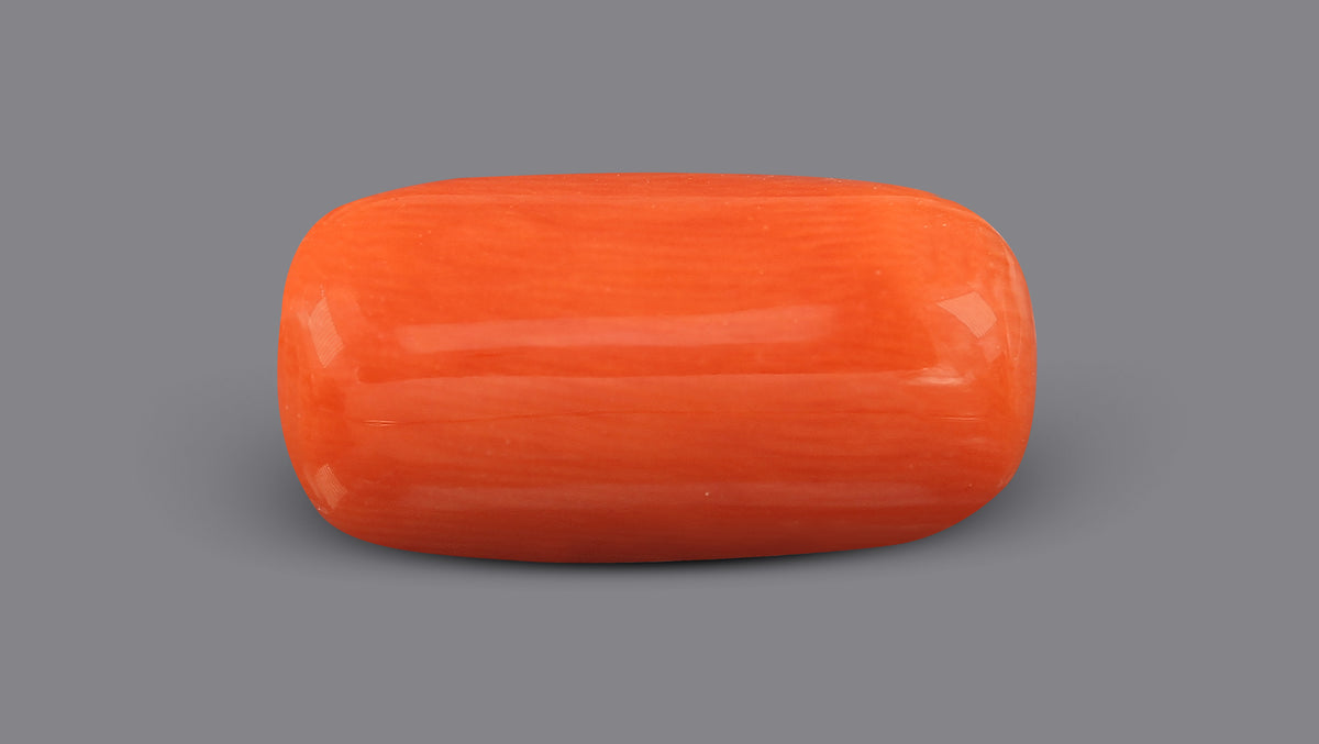 Italian Red Coral (Moonga) 6.62 Carats / 7.27 Ratti