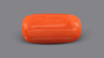 Italian Red Coral (Moonga) 6.62 Carats / 7.27 Ratti