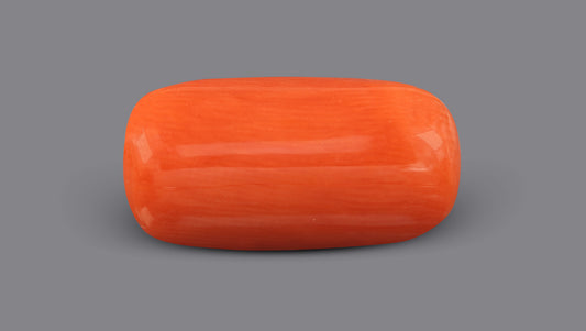 Italian Red Coral (Moonga) 6.62 Carats / 7.27 Ratti